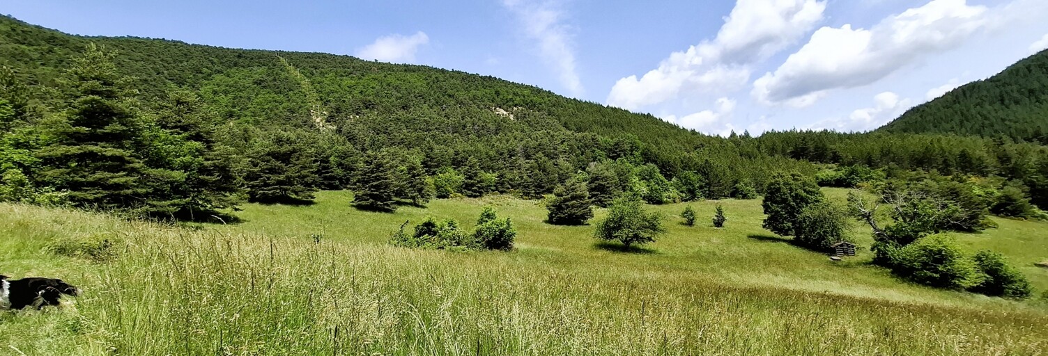 Terrain  223177 m² à vendre à Senez (04330)