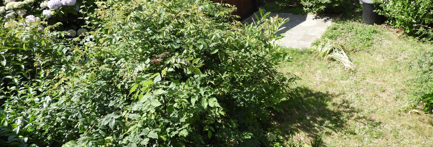 Maison 7 Pièces 115 m² à vendre à Le Havre (76620)