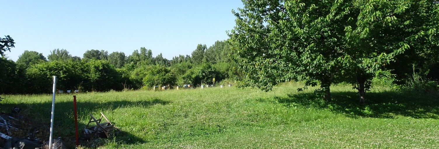 Terrain  1200 m² à vendre à Arthès (81160)