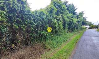 Maison 1 Pièce  m² à vendre à Précy (18140)