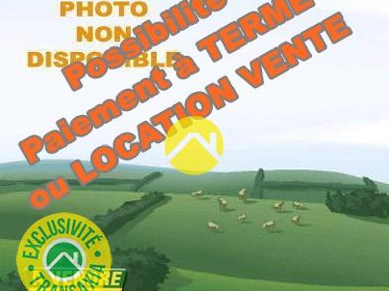 LE CALME ASSURE — photo 1