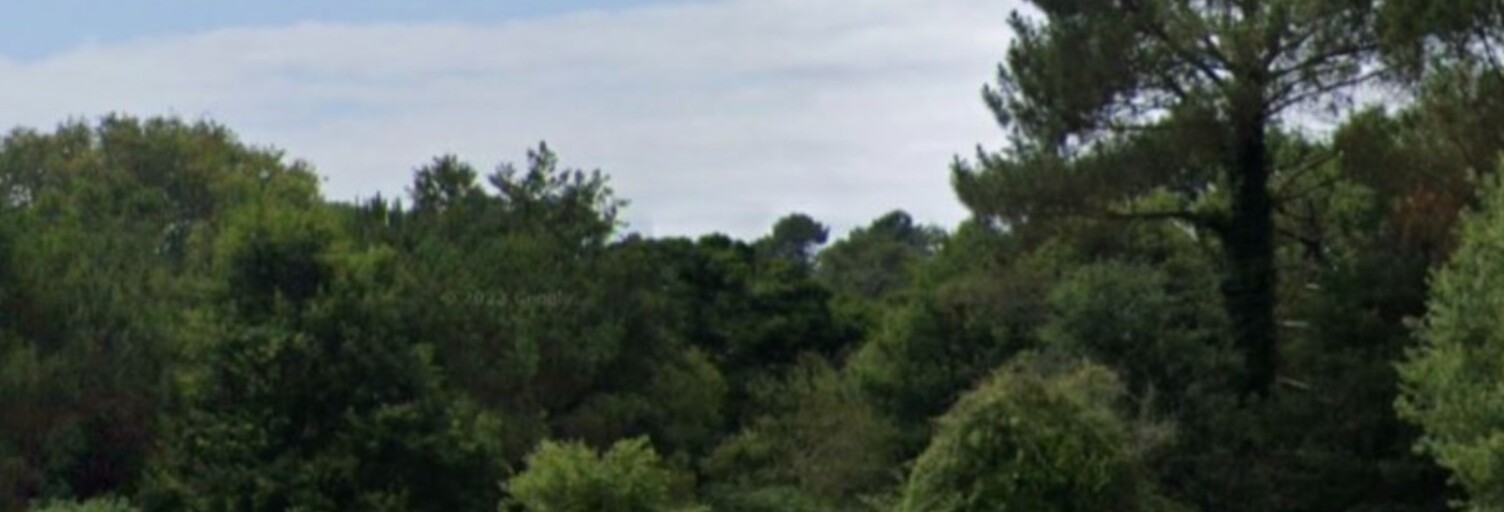 Terrain  703 m² à vendre à Messanges (40660)