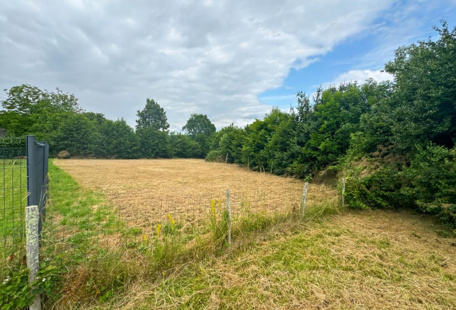 Terrain À Vendre — photo 1