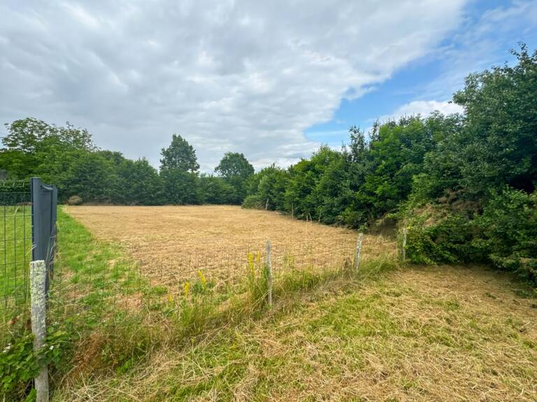 Terrain À Vendre — photo 1