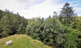 Appartement  24 m² à vendre à La Bollène-Vésubie (06450)