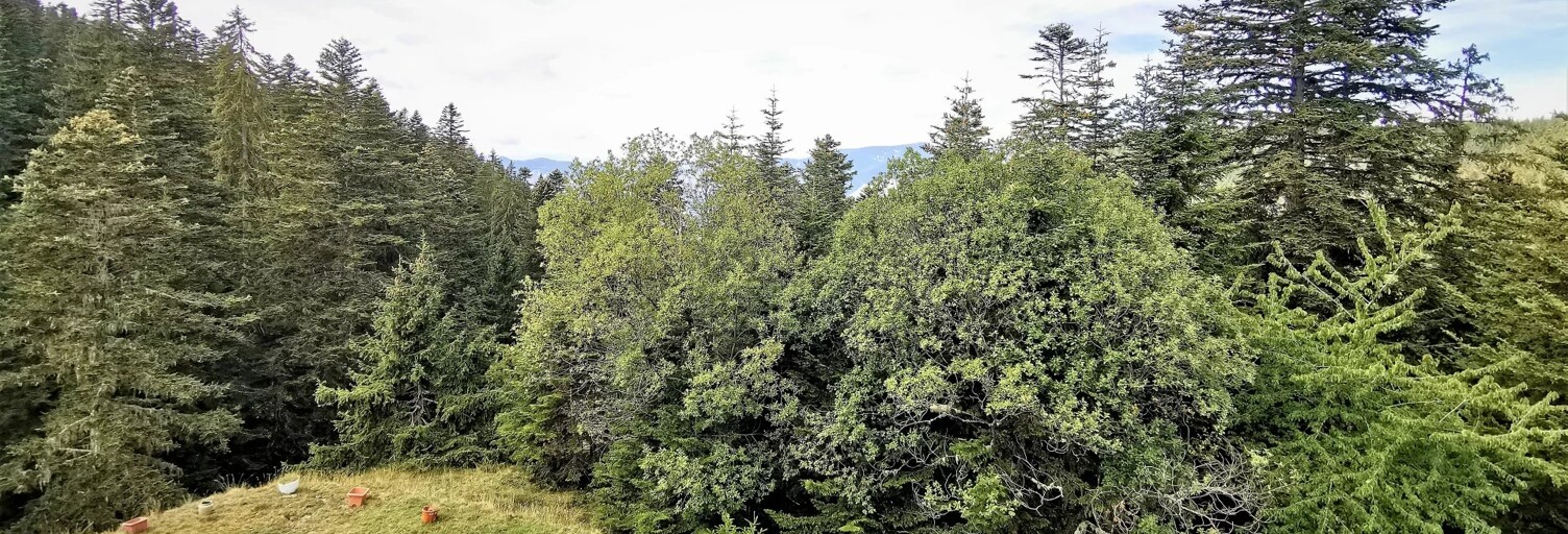 Appartement  24 m² à vendre à La Bollène-Vésubie (06450)