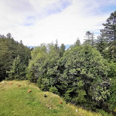 Appartement  69000 €