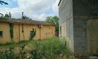 Photo N° 8