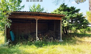 Photo N° 3