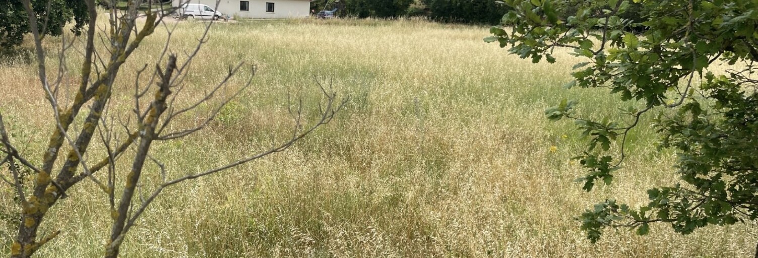 Terrain  2341 m² à vendre à Clermont-l'Hérault (34800)