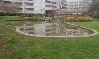 Photo N° 6