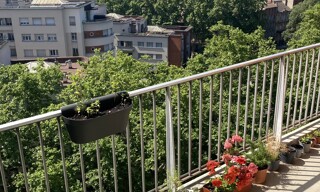 Appartement 1 Pièce 27 m² à louer à Toulouse (31000)