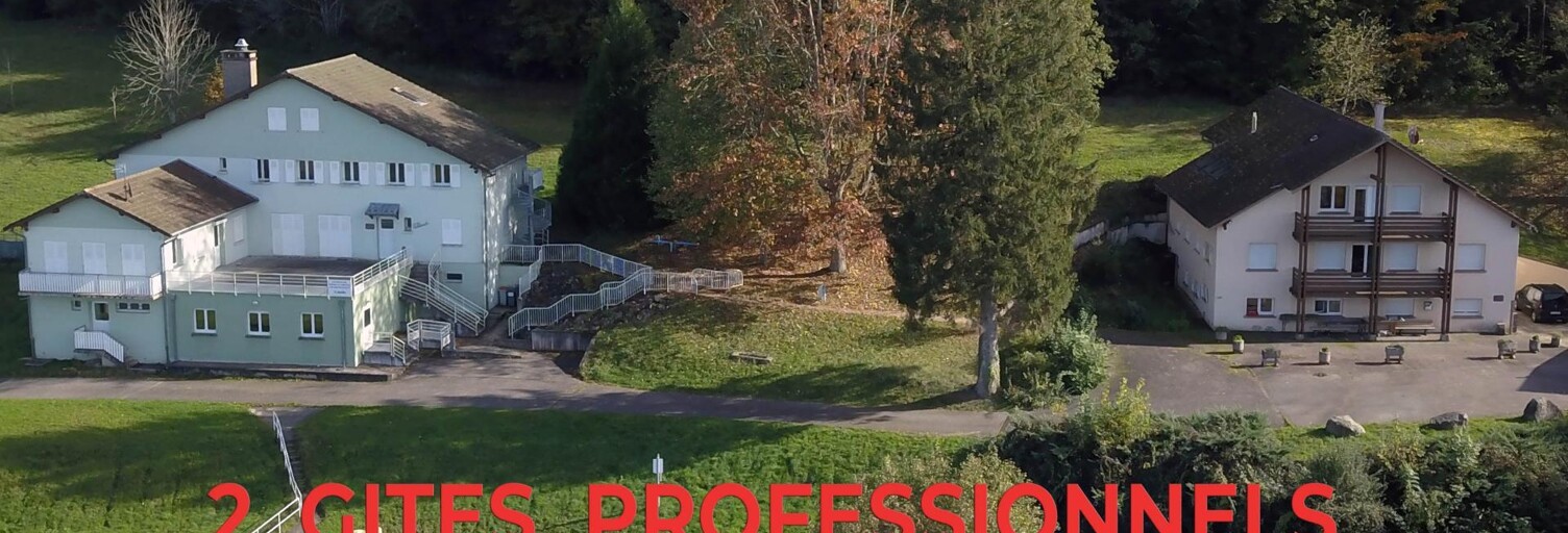 Commerce 20 Pièces 1500 m² à vendre à Combrimont (88490)