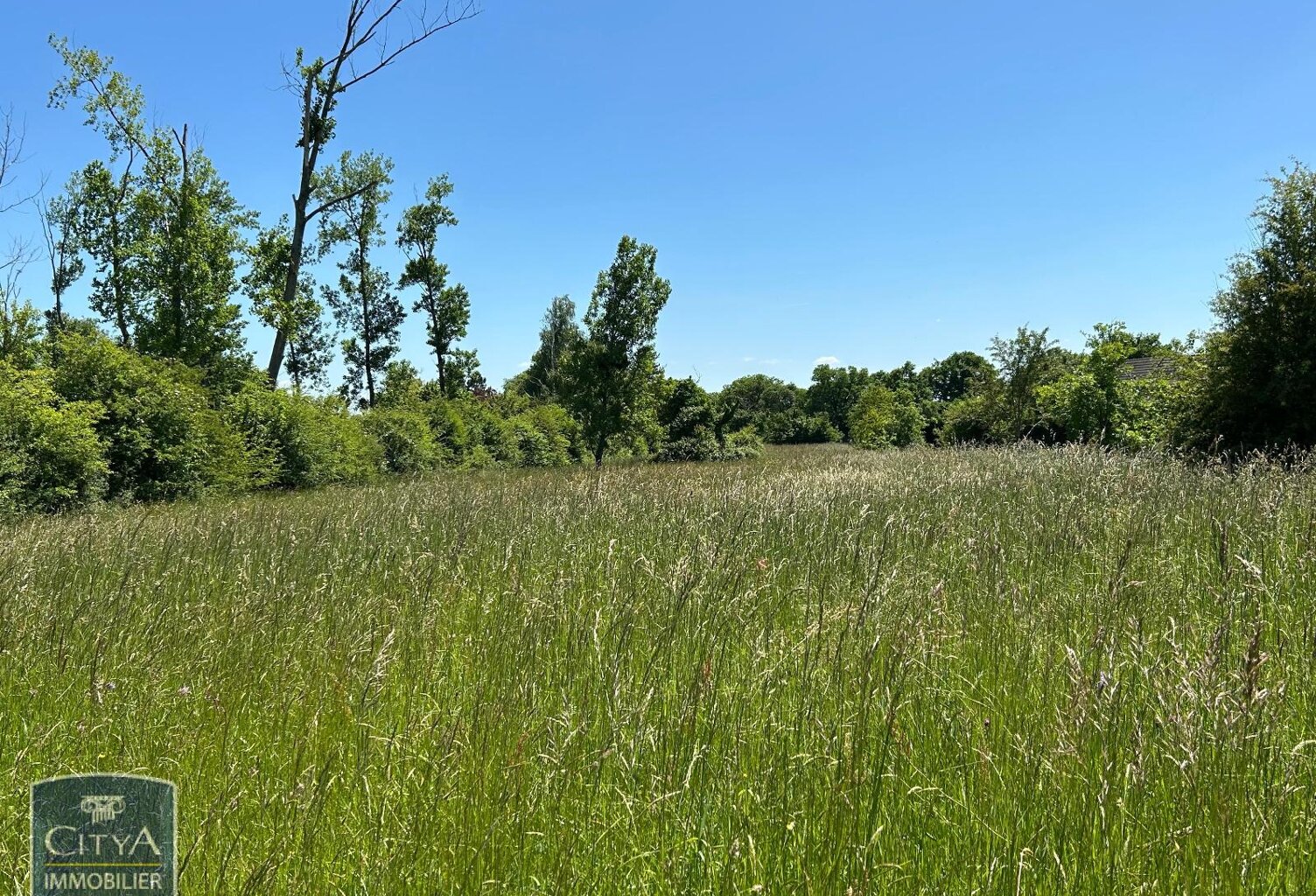 Vente terrain  4696 m² Le Blanc (36300) — photo 1