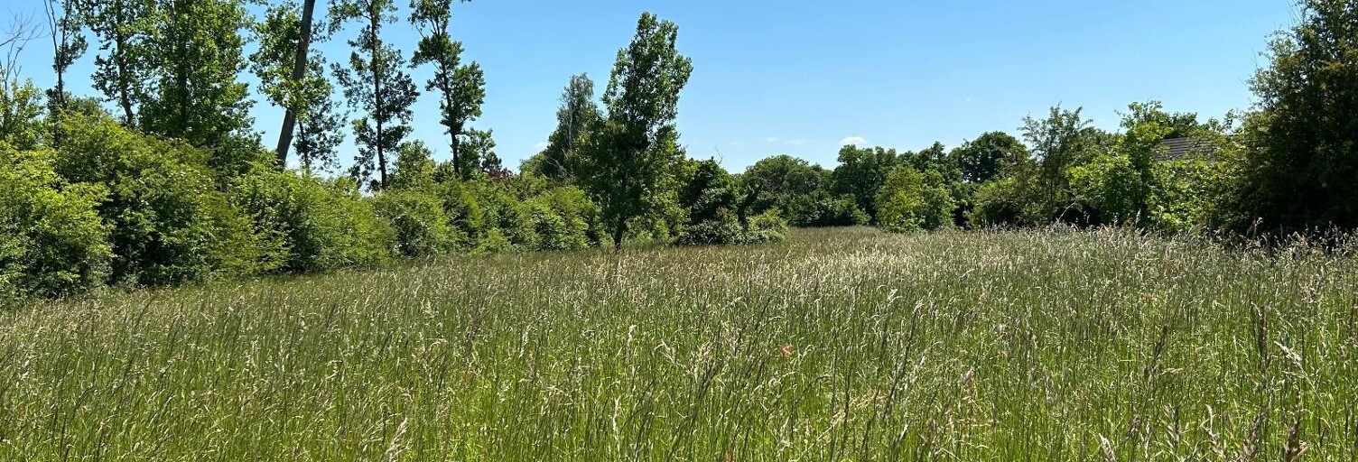 Terrain  4696 m² à vendre à Le Blanc (36300)