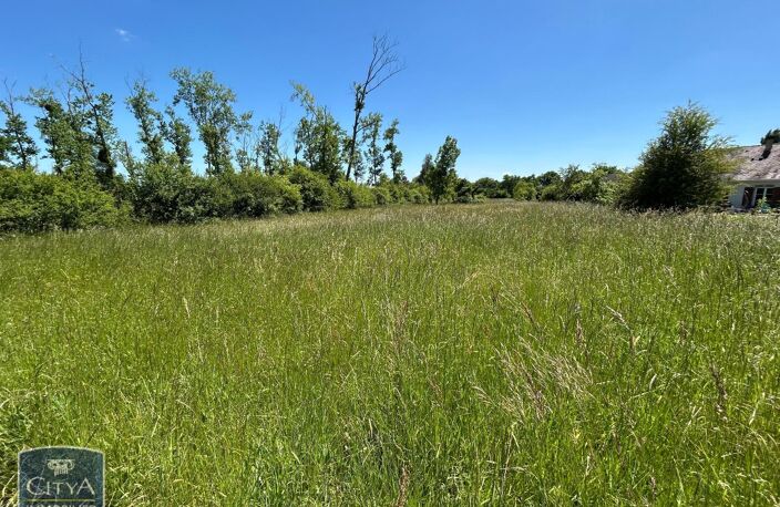 Vente terrain  4696 m² Le Blanc (36300) — photo 2