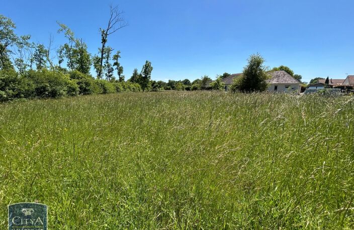 Vente terrain  4696 m² Le Blanc (36300) — photo 3