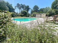 Proche Langon - propriété 6 chambres -dépendances -piscine - — photo 2
