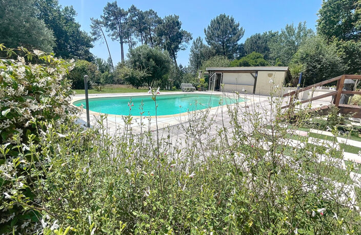 Proche Langon - propriété 6 chambres -dépendances -piscine - — photo 2
