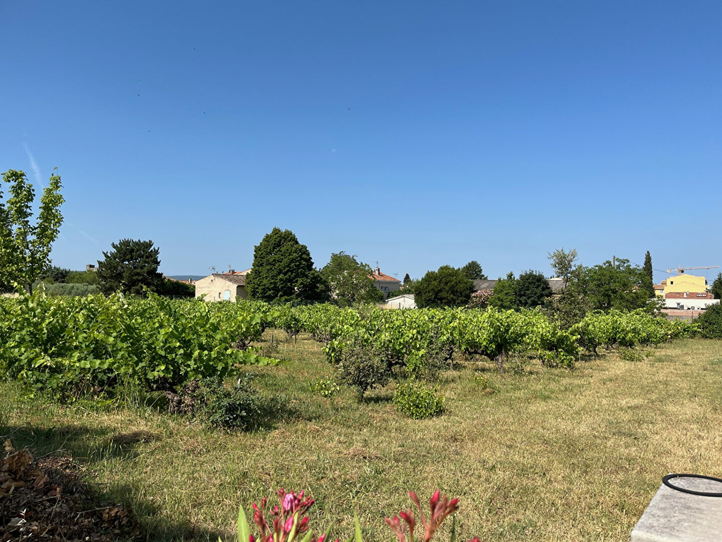 Agence immobilière de Square Habitat Sud Luberon - Pays d'Aigues