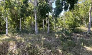 Maison 4 Pièces 206 m² à vendre à L'Étang-Salé (97427)