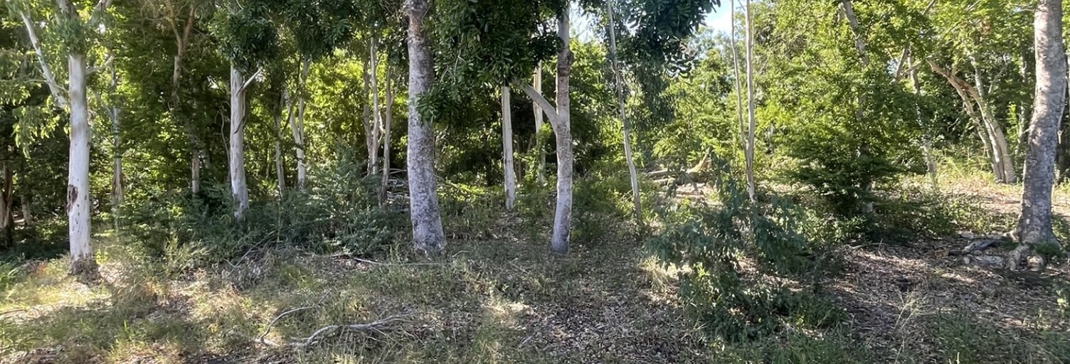 Maison 4 Pièces 206 m² à vendre à L'Étang-Salé (97427)