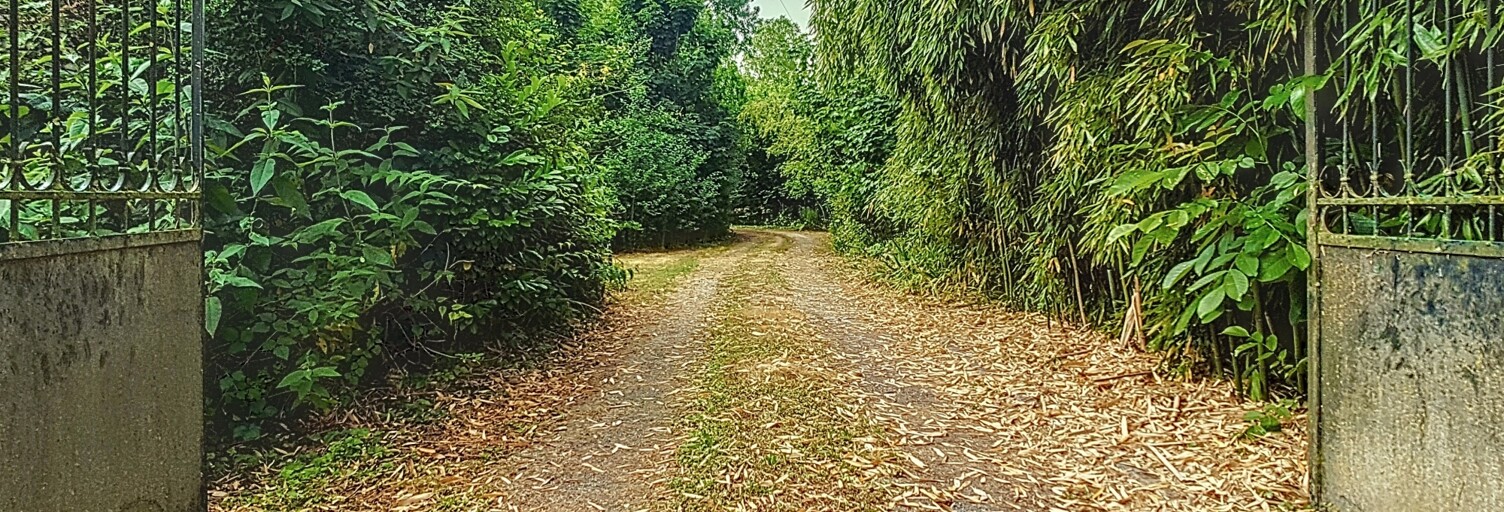 Maison 9 Pièces 212 m² à vendre à Montargis (45200)