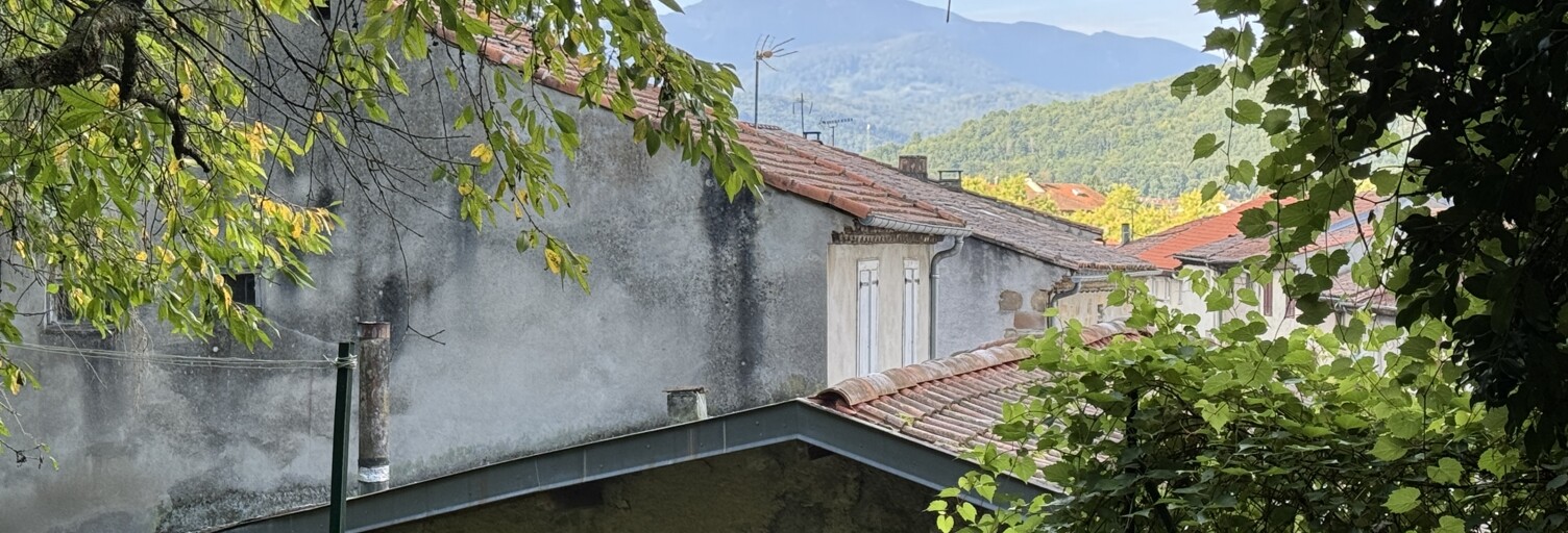 Maison 7 Pièces 216 m² à vendre à Lavelanet (09300)