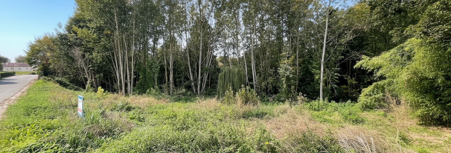 Terrain  1721 m² à vendre à Sommesous (51320)