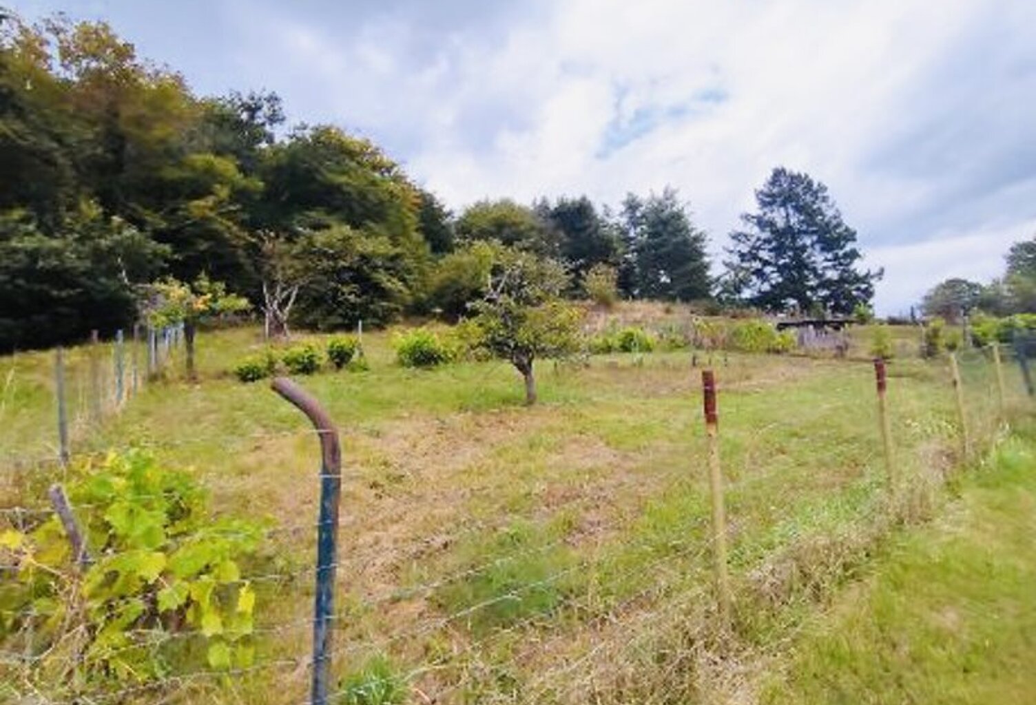 Terrain à bâtir de 0 pièces principales — photo 1
