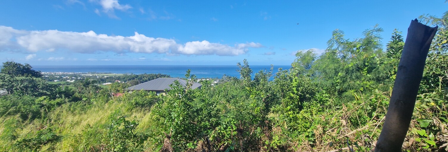 Terrain  607 m² à vendre à Saint-Joseph (97480)