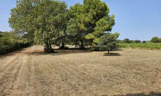 Terrain  4600 m² à vendre à Montpeyroux (34150)
