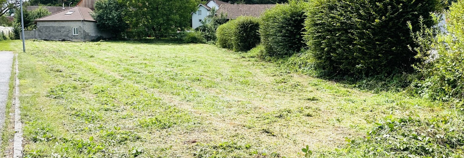 Terrain  1238 m² à vendre à Seppois-le-Haut (68580)