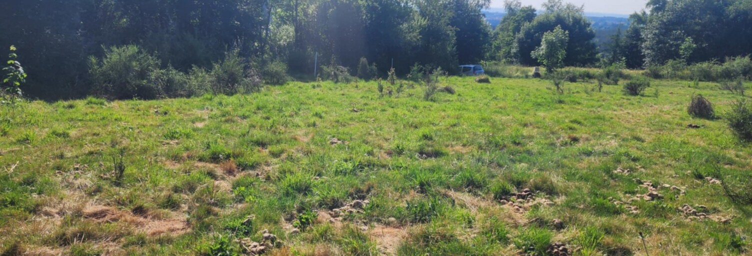 Terrain  1300 m² à vendre à Saint-Pal-de-Mons (43620)