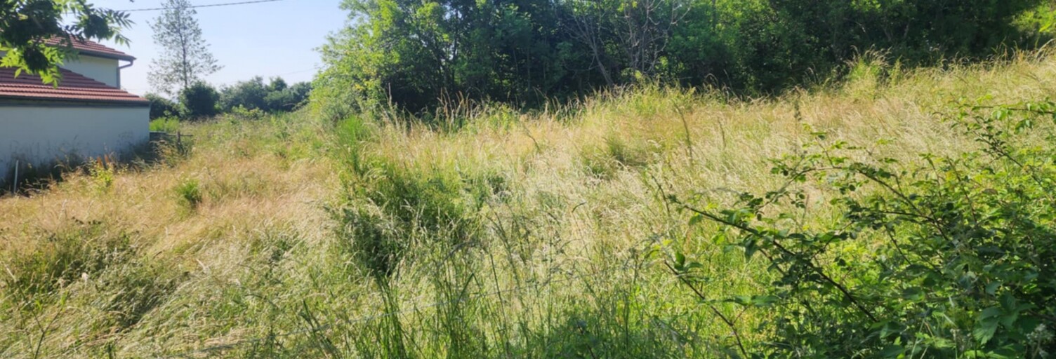 Terrain  1200 m² à vendre à Saint-Pal-de-Mons (43620)