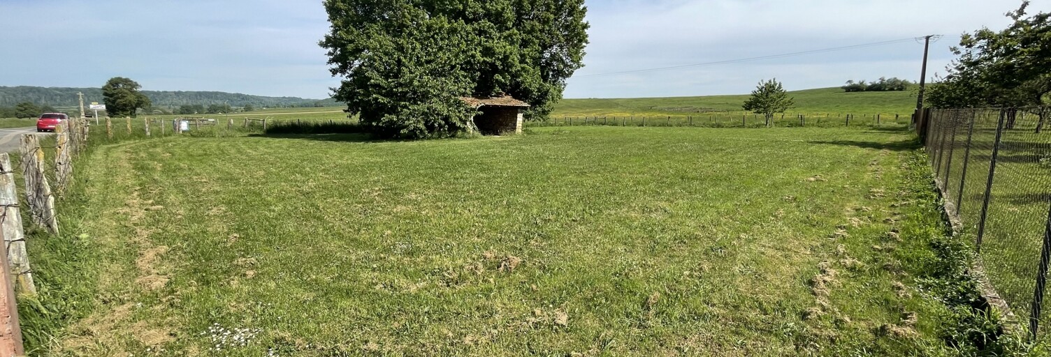 Terrain  1545 m² à vendre à Celles-en-Bassigny (52360)