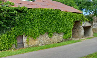 Photo N° 8