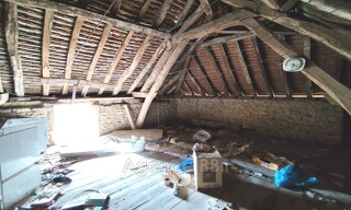 Photo N° 6