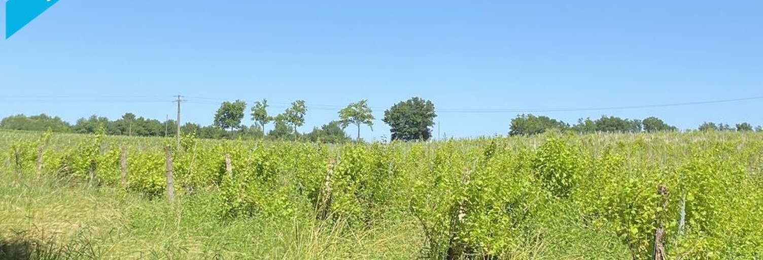 Terrain   m² à vendre à Cazaubon (32150)