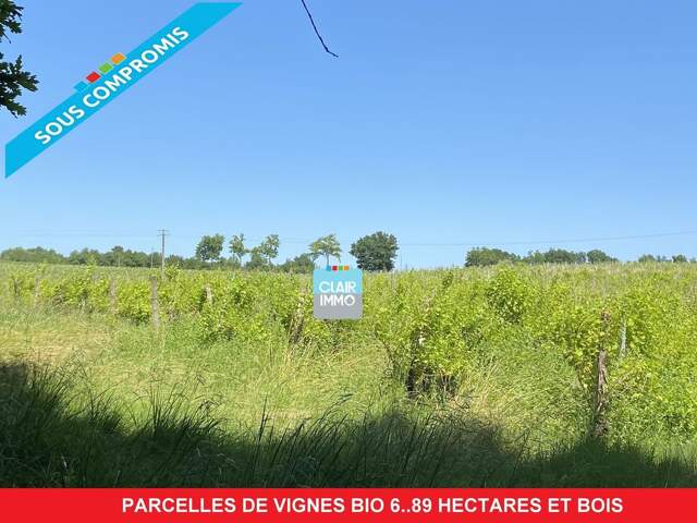 Parcelles de vignes bio et terrain boisé 6.89 hectares dans le — photo du bien