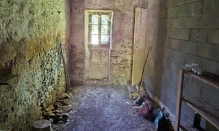 Photo N° 6