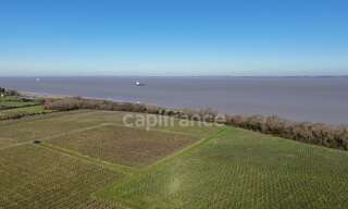 Maison  1143 m² à vendre à Saint-Yzans-de-Médoc (33340)