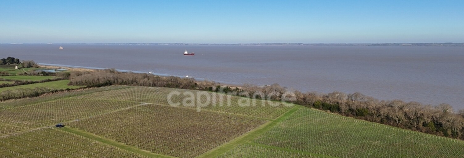 Maison  1143 m² à vendre à Saint-Yzans-de-Médoc (33340)