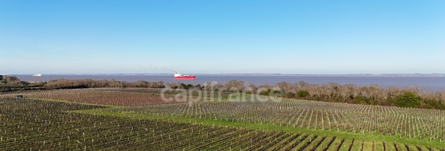 Maison 12 Pièces 1357 m² à vendre à Saint-Yzans-de-Médoc (33340)