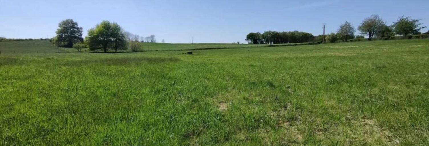 Terrain  13561 m² à vendre à Nexon (87800)