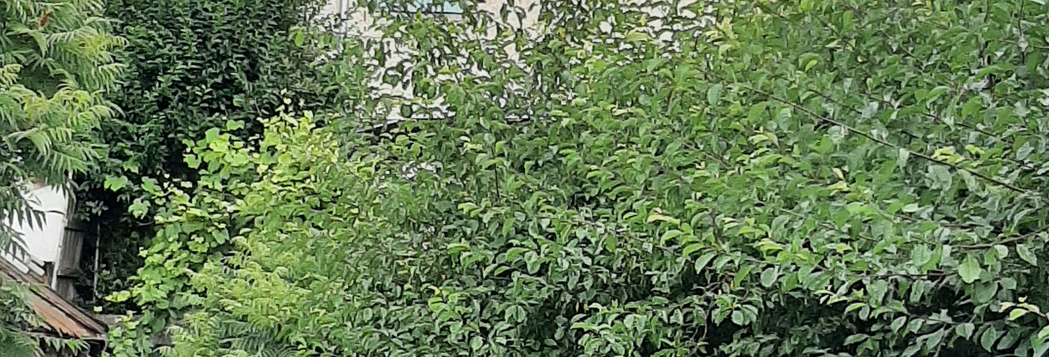 Maison 3 Pièces 65 m² à vendre à La Mure (38350)