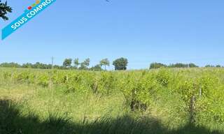 Terrain   m² à vendre à Cazaubon (32150)