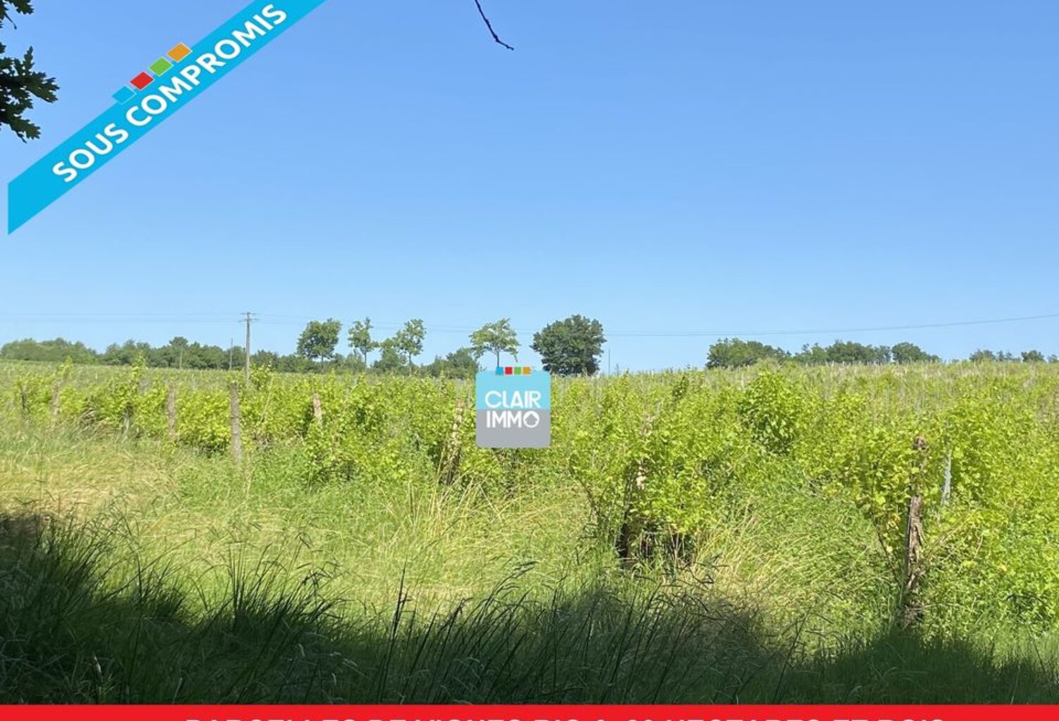 Parcelles de vignes bio et terrain boisé 6.89 hectares dans le — photo 1
