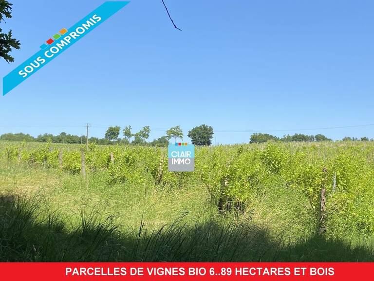 Parcelles de vignes bio et terrain boisé 6.89 hectares dans le — photo 1