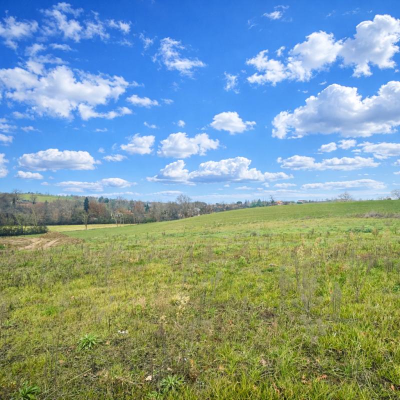 Agence immobilière de LOGIS CONSEIL CONSTRUCTION